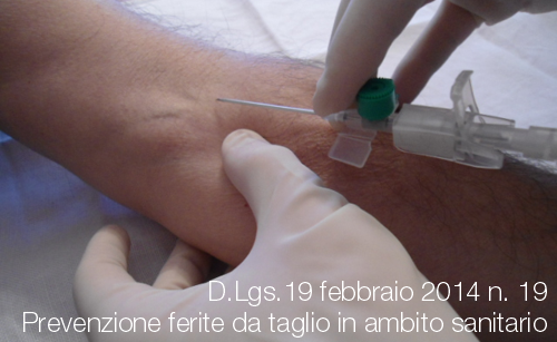 D Lgs  19 febbraio 2014 n  19