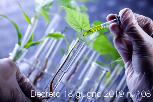 Decreto 18 giugno 2019 n  108