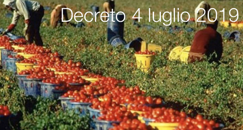 Decreto 4 luglio 2019