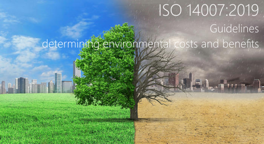 ISO 14007 2019