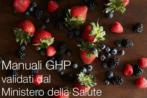 MANUALI GHP VALIDATI