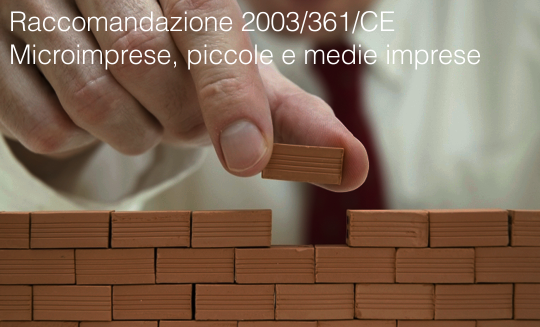 Raccomandazione 2003 361 CE