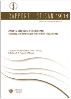 Rapporto 19 14