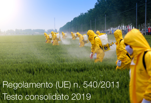 Regolamento di esecuzione 5402011 Testo consolidato 2019