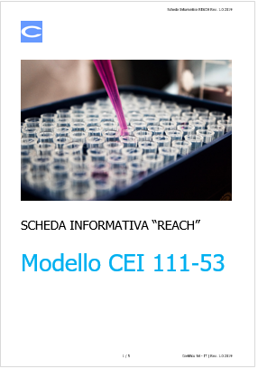 Scheda informativa REACH CEI 111 53