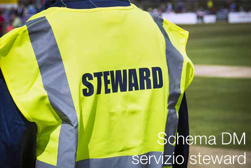 steward schema DM