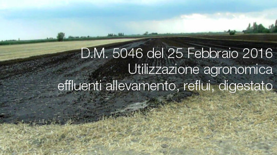 DM n  5046 del 25 Febbraio 2016