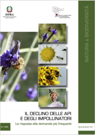 Il declino delle api e impollinatori  Riposte alle domande pi  frequenti