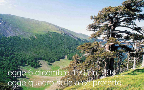 Legge 6 dicembre 1991 n  394