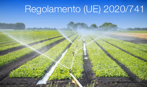 Regolamento UE 2020 741