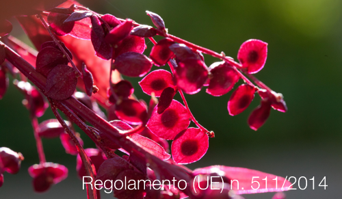 Regolamento UE n  511 2014