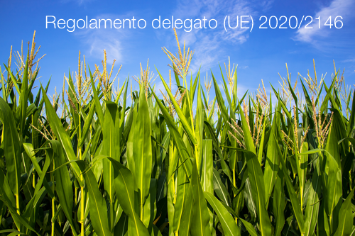 Regolamento delegato UE 2020 2146