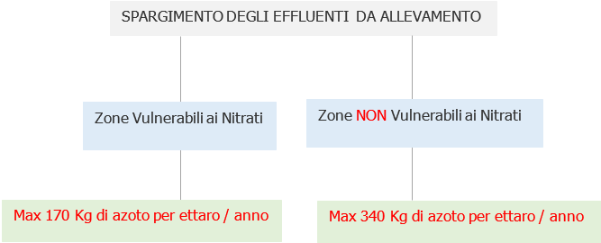 Spargimento effluenti da allevamento limiti nitrato Spargimento effluenti da allevamento limiti nitrato