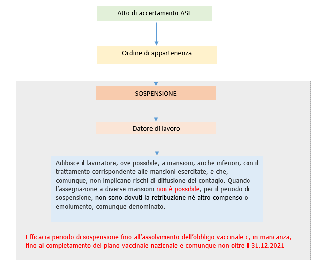 Figura 3