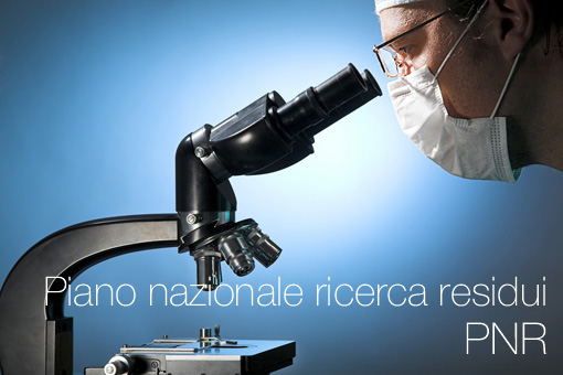 Piano nazionale per la ricerca dei residui  PNR 