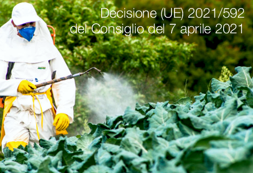 Decisione UE 2021 592