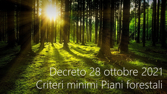 Decreto 28 ottobre 2021 Criteri minimi Piani forestali