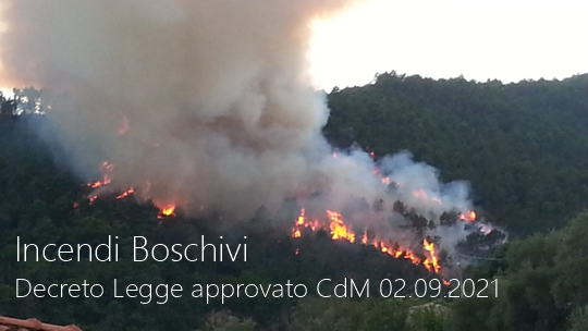 Decreto Legge Incendi boschivi   Approvato CdM 02 09 2021