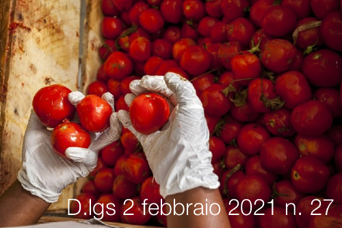 Decreto Legislativo 2 febbraio 2021 n  27