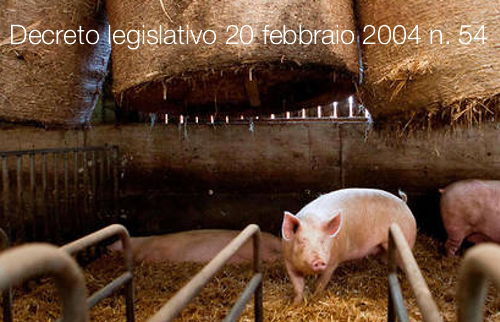 Decreto legislativo 20 febbraio 2004 n  54