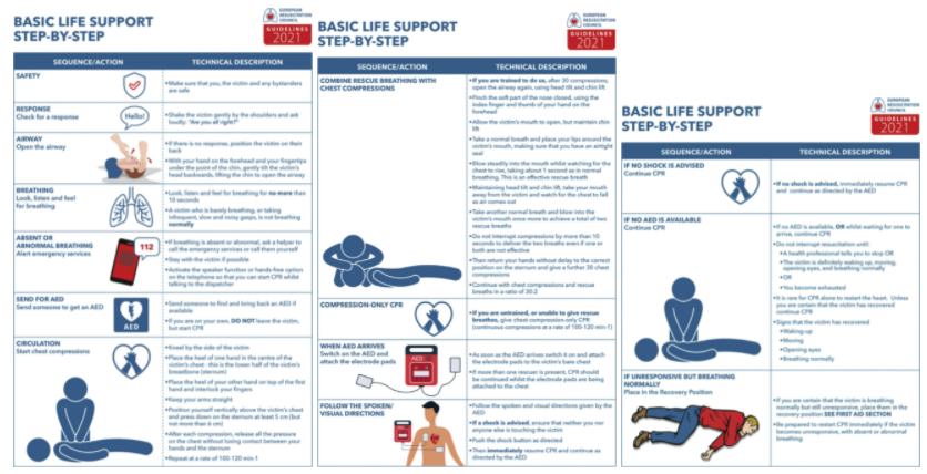 ERC Guidelines 2021 infografica