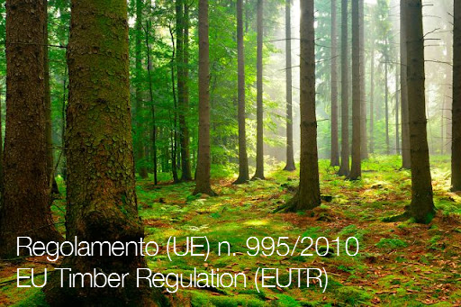EU Timber Regulation  EUTR 