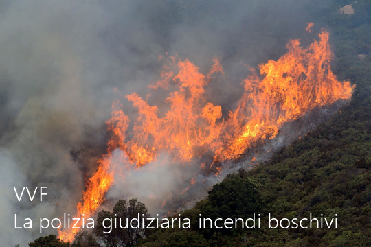 La polizia giudiziaria VVF negli incendi boschivi