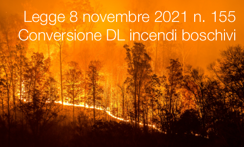 Legge 8 novembre 2021 n  155