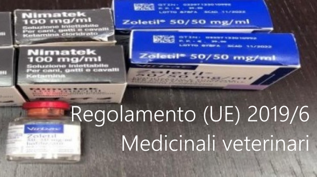 Regolamento  UE  2019 6 Medicinali veterinari