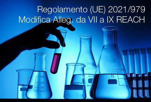 Regolamento UE 2021 979