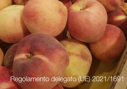 Regolamento delegato UE 2021 1691