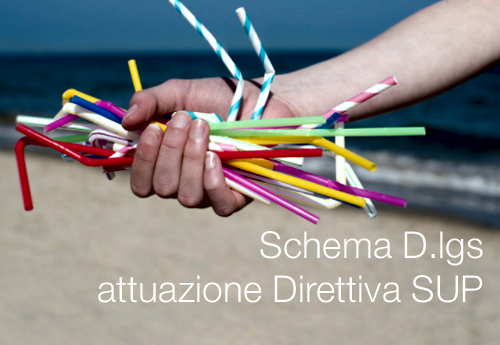 Schema D lgs attuazione Direttiva SUP