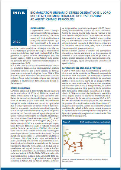 Biomarcatori urinari di stress ossidativo