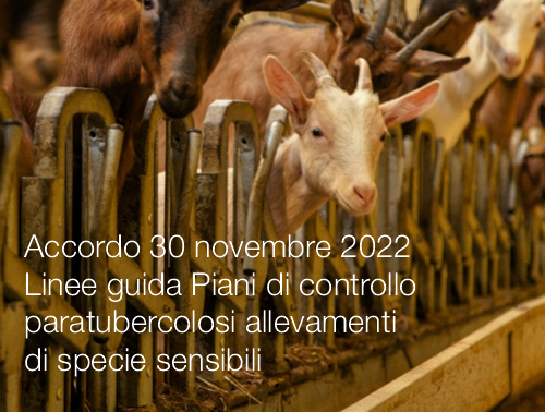 Accordo 30 novembre 2022