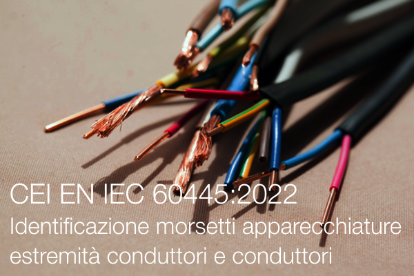 CEI EN IEC 60445 2022