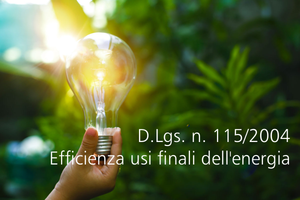 D Lgs n 115 2004 Efficienza degli usi finali dell energia D Lgs n 115 2004 Efficienza degli usi finali dell energia