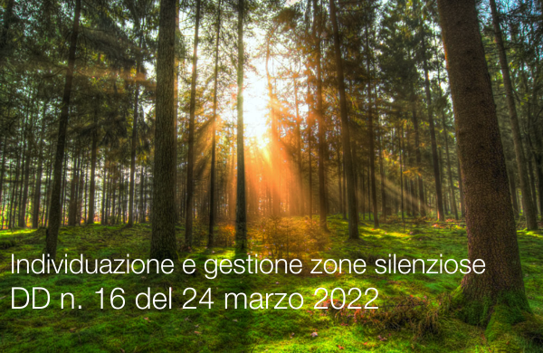 DD n  16 del 24 marzo 2022 Individuazione e gestione zone silenziose