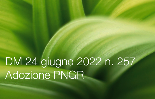 DM 24 giugno 2022 n  257   Adozione del Programma Nazionale per la Gestione dei rifiuti