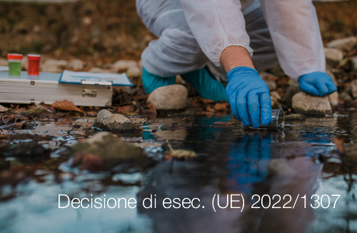 Decisione di esecuzione 2022 1307