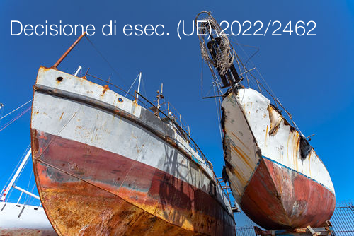 Decisione di esecuzione UE 2022 2462