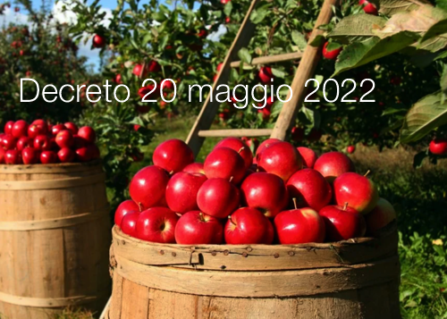 Decreto 20 maggio 2022