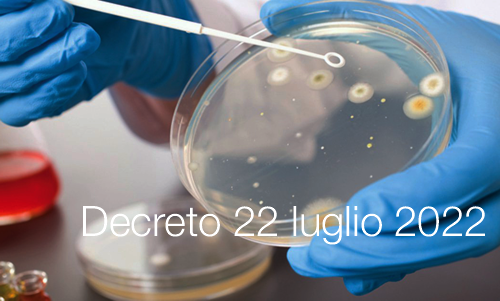 Decreto 22 luglio 2022