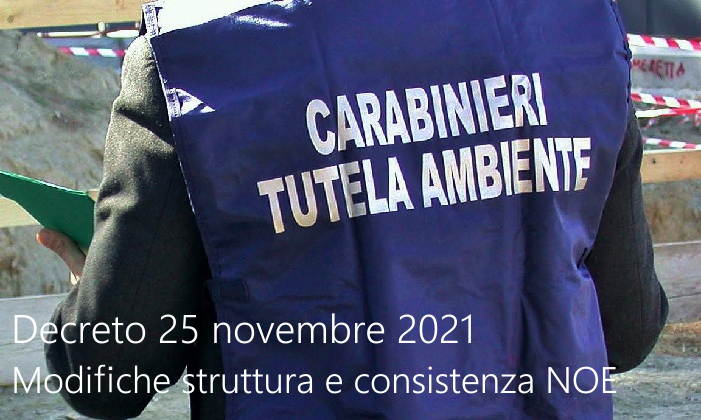 Decreto 25 novembre 2021