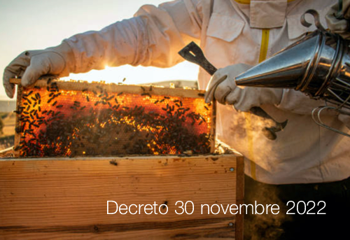 Decreto 30 novembre 2022