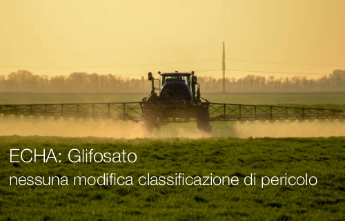 ECHA Glifosato nessuna modifica alla classificazione di pericolo