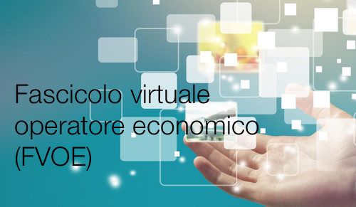 Fascicolo virtuale operatore economico
