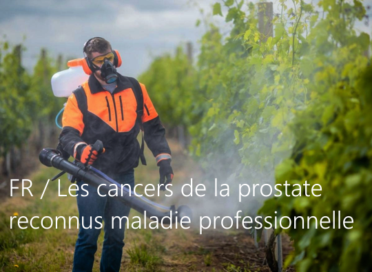 Les cancers de la prostate reconnus comme maladie professionnelle