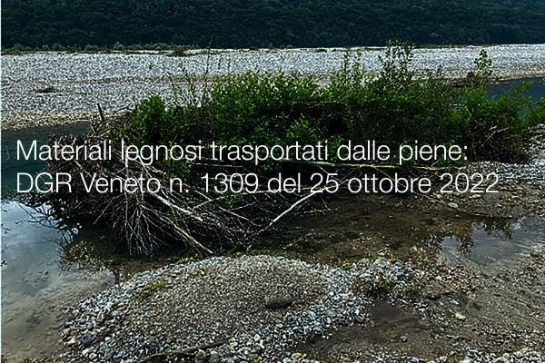 Materiali legnosi trasportati dalle piene   DGR Veneto n  1309 del 25 ottobre 2022