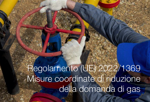 Misure coordinate di riduzione della domanda di gas