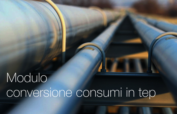 Modulo conversione consumi in tep